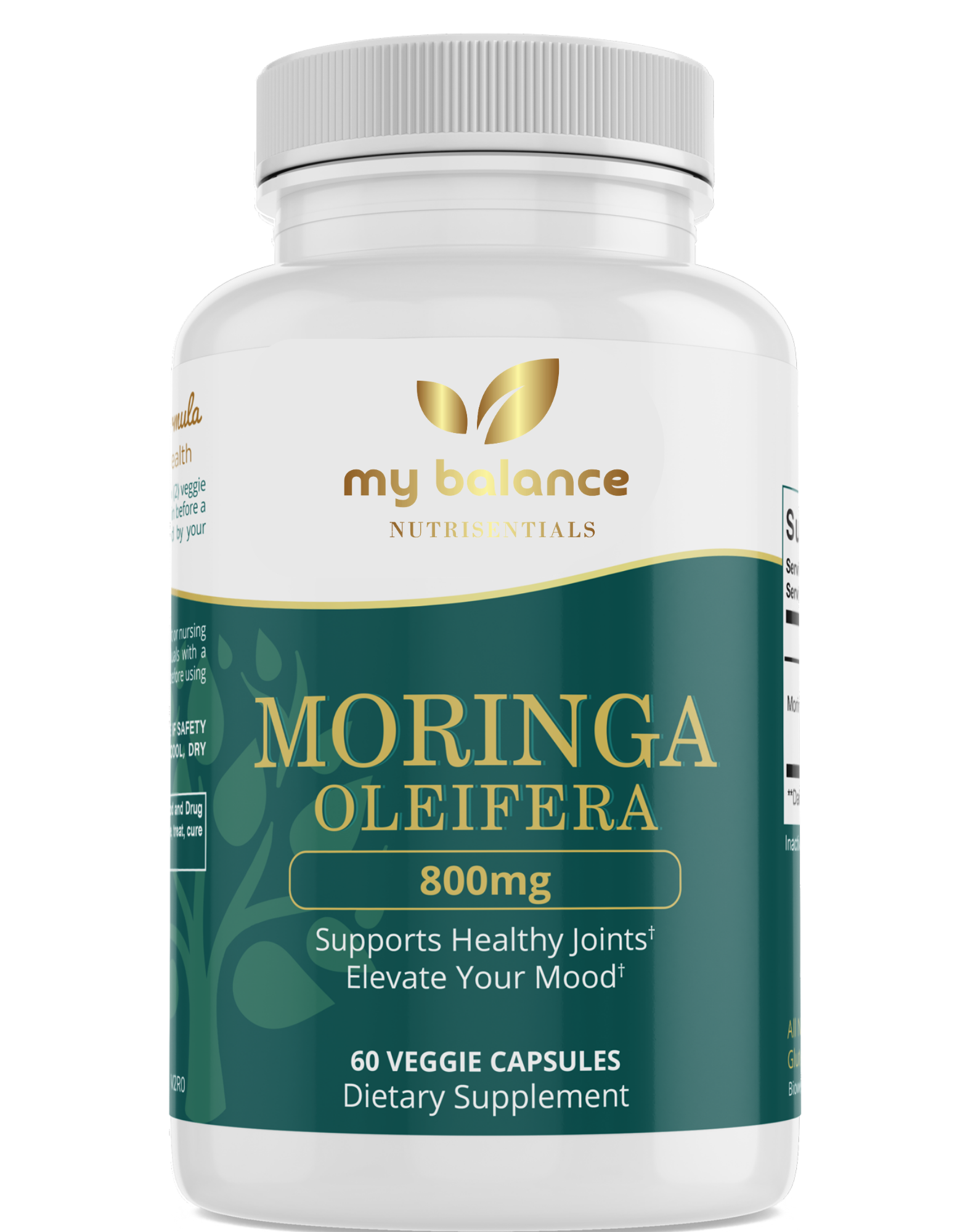 Organic Moringa Oleifera