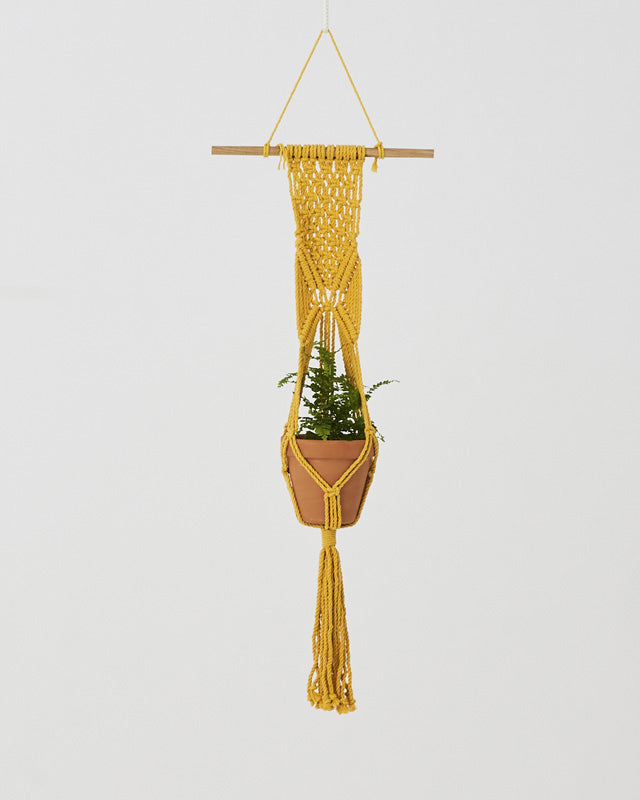 Mombacho Macrame Plant Holder | Yellow