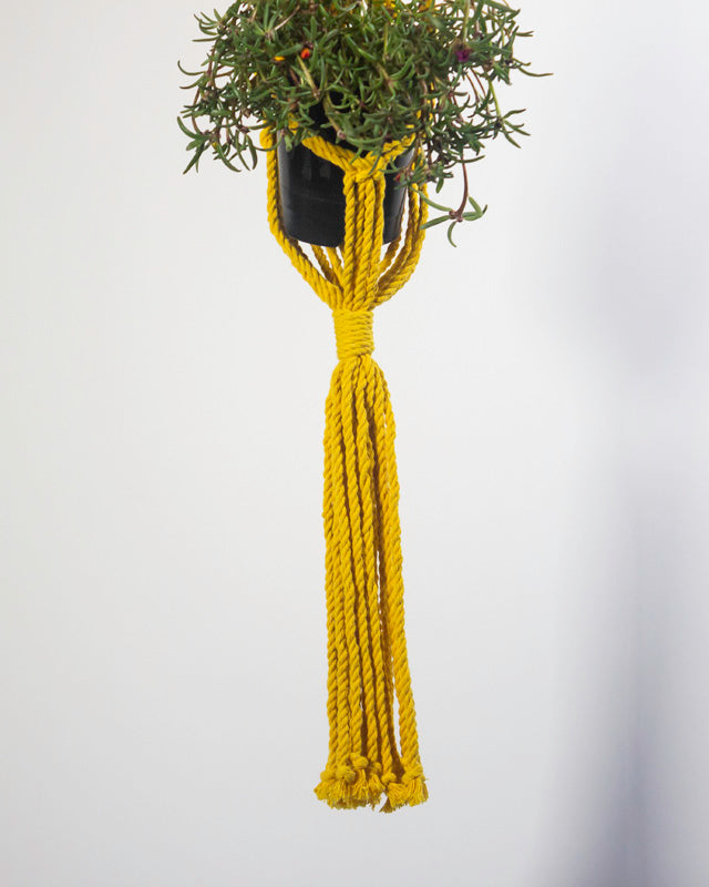 Mombacho Macrame Plant Holder | Yellow