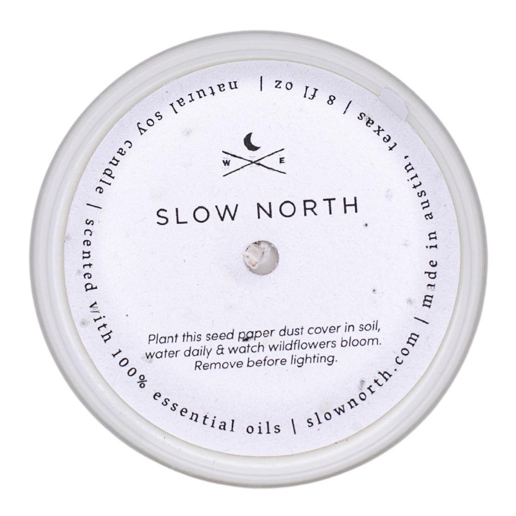 Forest Bathing Signature Candle (Fir, Pine & Patchouli)
