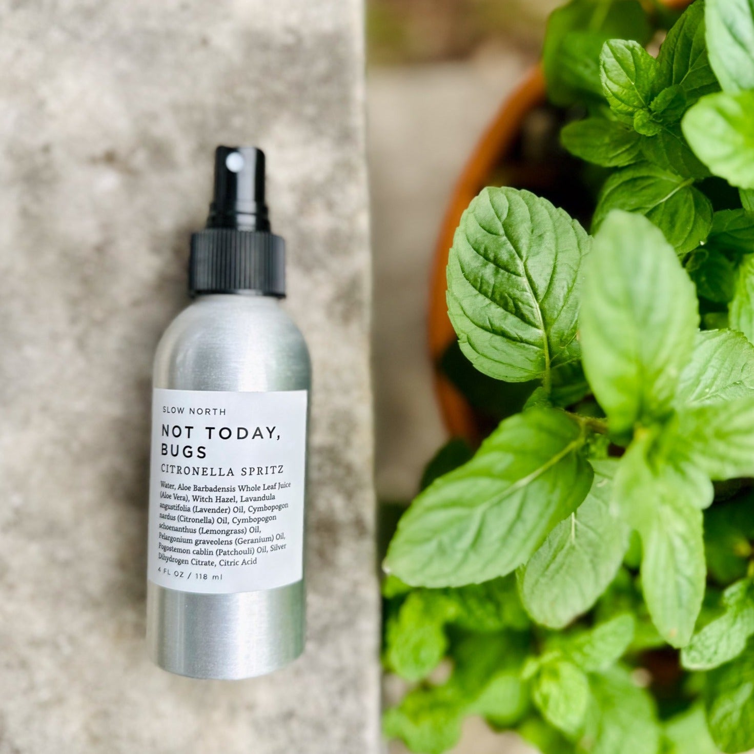 "Not Today, Bugs" Bug Spray (4oz)