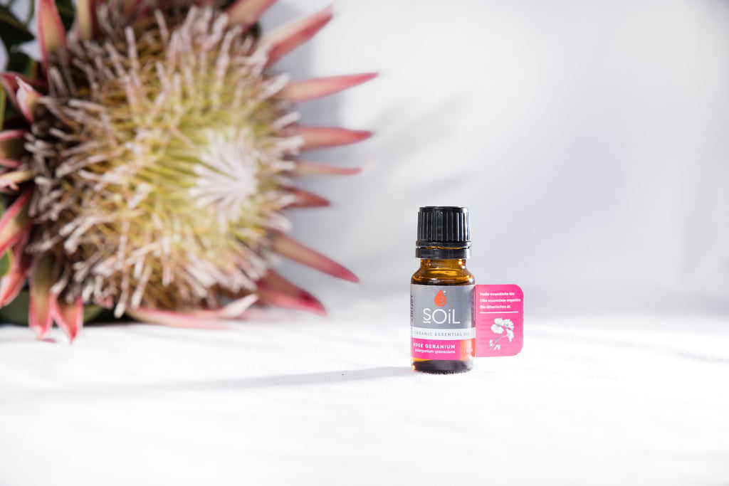 Organic Rose Geranium Essential Oil