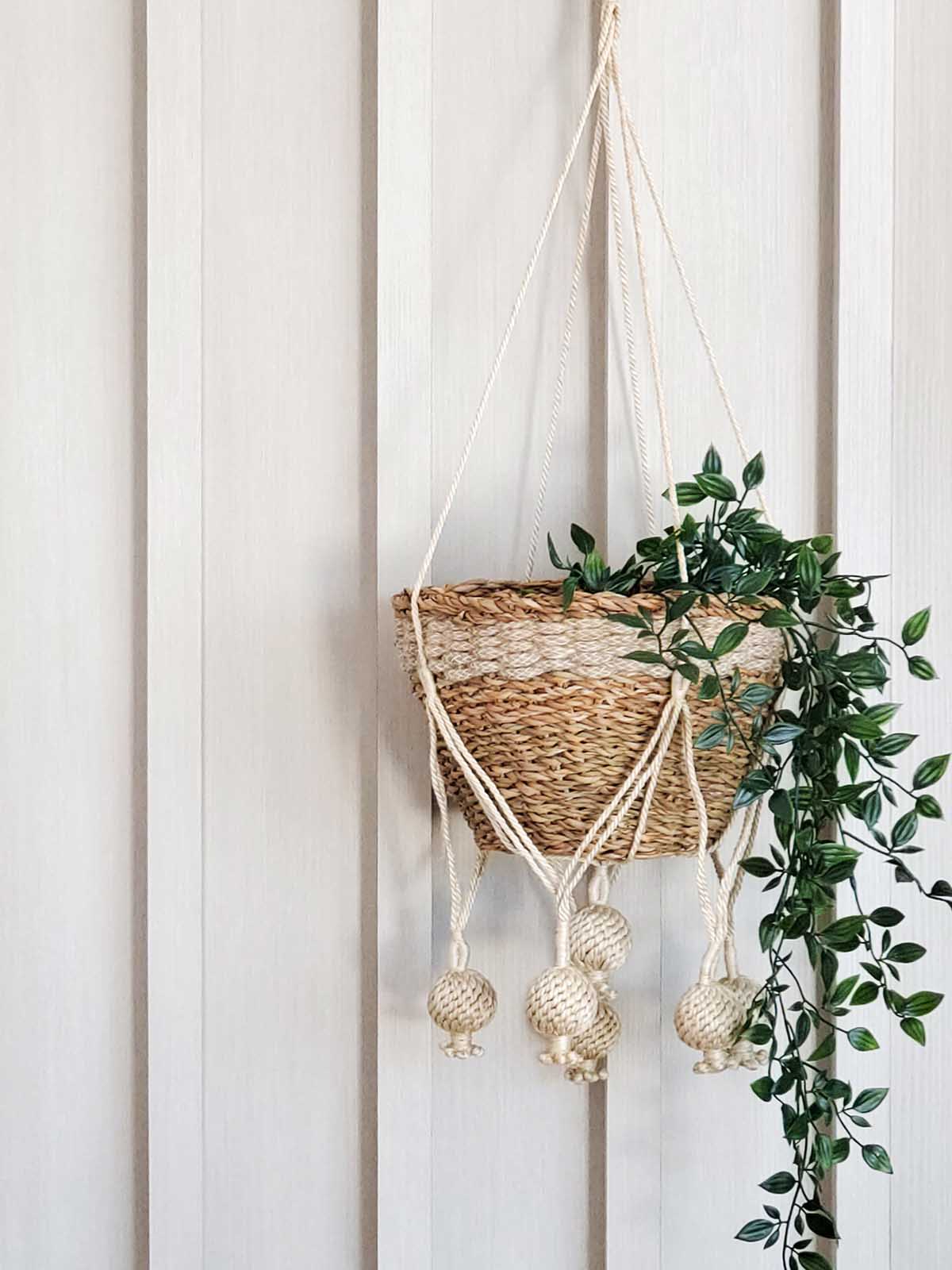 Kadam Plant Hanger