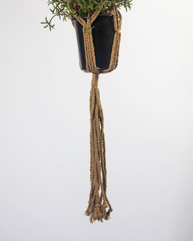 Santana Macrame Plant Holder | Khaki