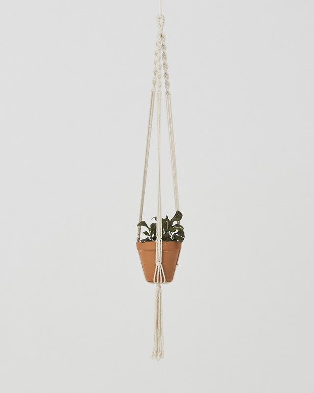 Santana Macrame Plant Holder | Natural White