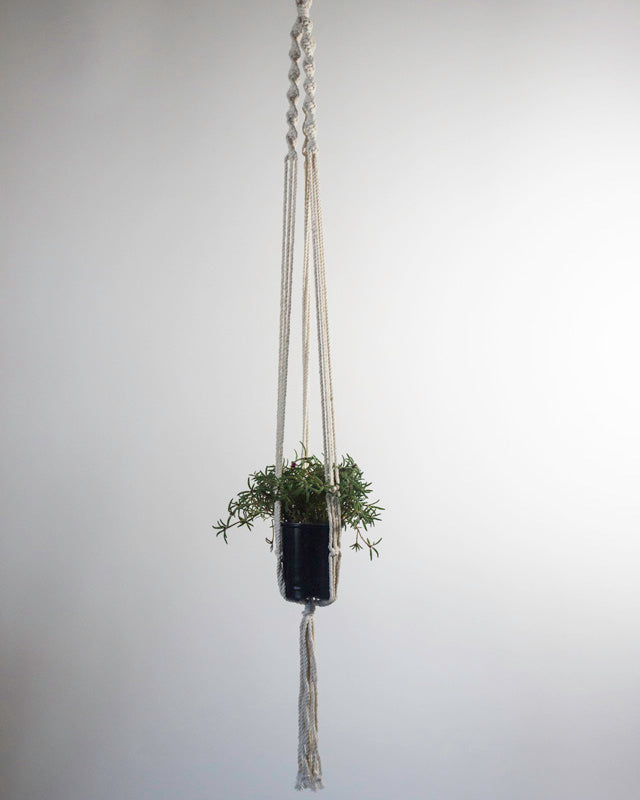 Santana Macrame Plant Holder | Natural White