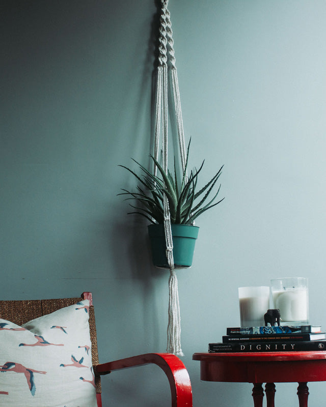 Santana Macrame Plant Holder | Natural White