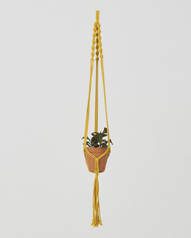 Santana Macrame Plant Holder | Yellow