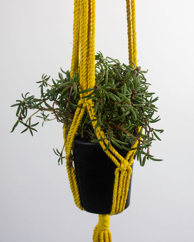 Santana Macrame Plant Holder | Yellow