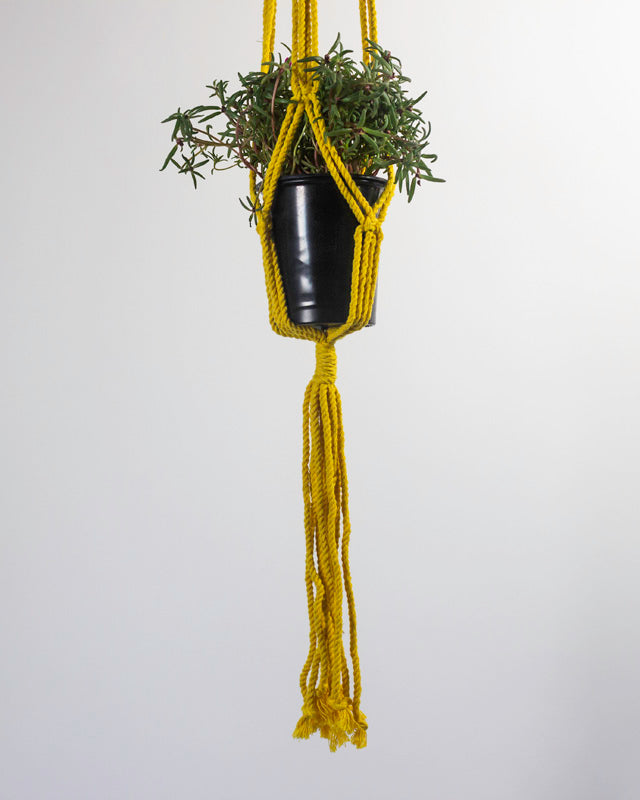 Santana Macrame Plant Holder | Yellow
