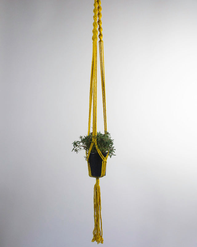 Santana Macrame Plant Holder | Yellow