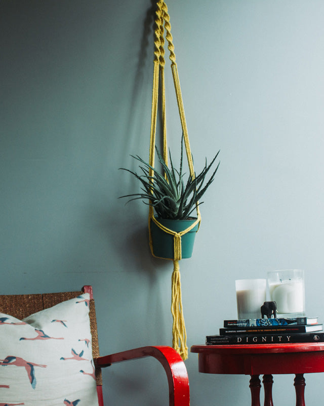 Santana Macrame Plant Holder | Yellow
