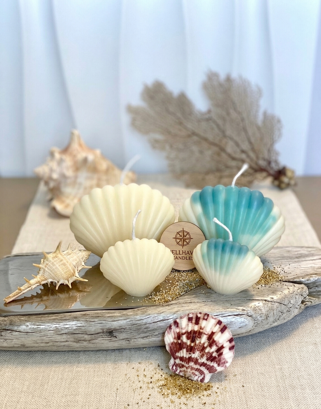 Shell Candle