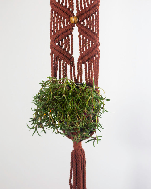 Somoto Macrame Plant Holder | Tile Red