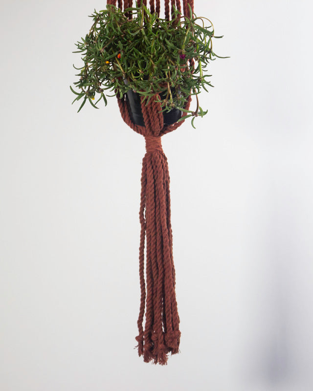 Somoto Macrame Plant Holder | Tile Red