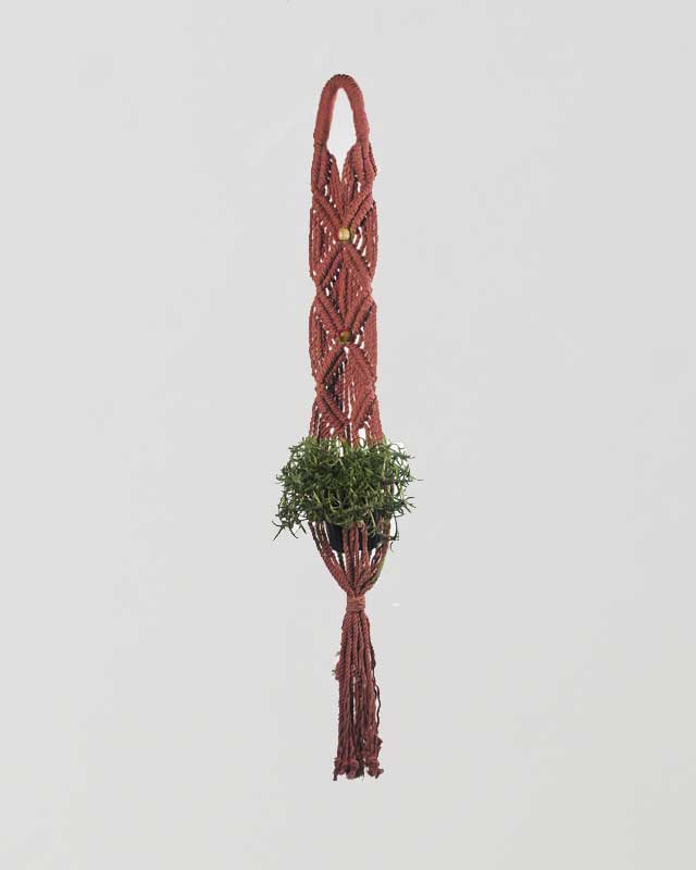 Somoto Macrame Plant Holder | Tile Red