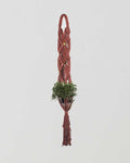 Somoto Macrame Plant Holder | Tile Red