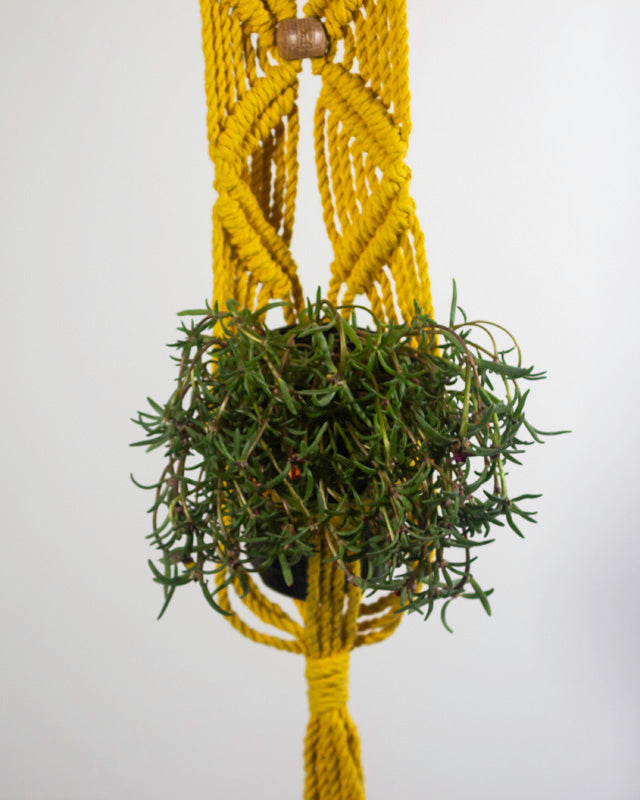 Somoto Macrame Plant Holder | Yellow