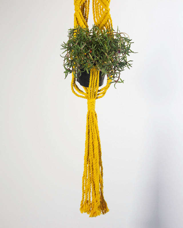 Somoto Macrame Plant Holder | Yellow