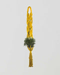 Somoto Macrame Plant Holder | Yellow