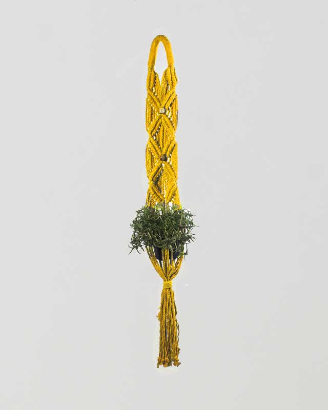 Somoto Macrame Plant Holder | Yellow