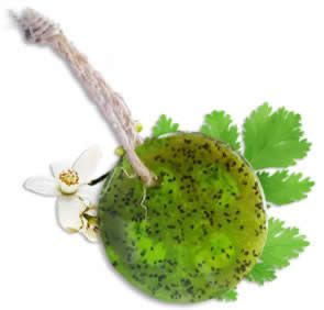 Speckless Soap Bar - Chia, Lemon, Parsley & Coconut Oil.