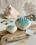 Shell Candle