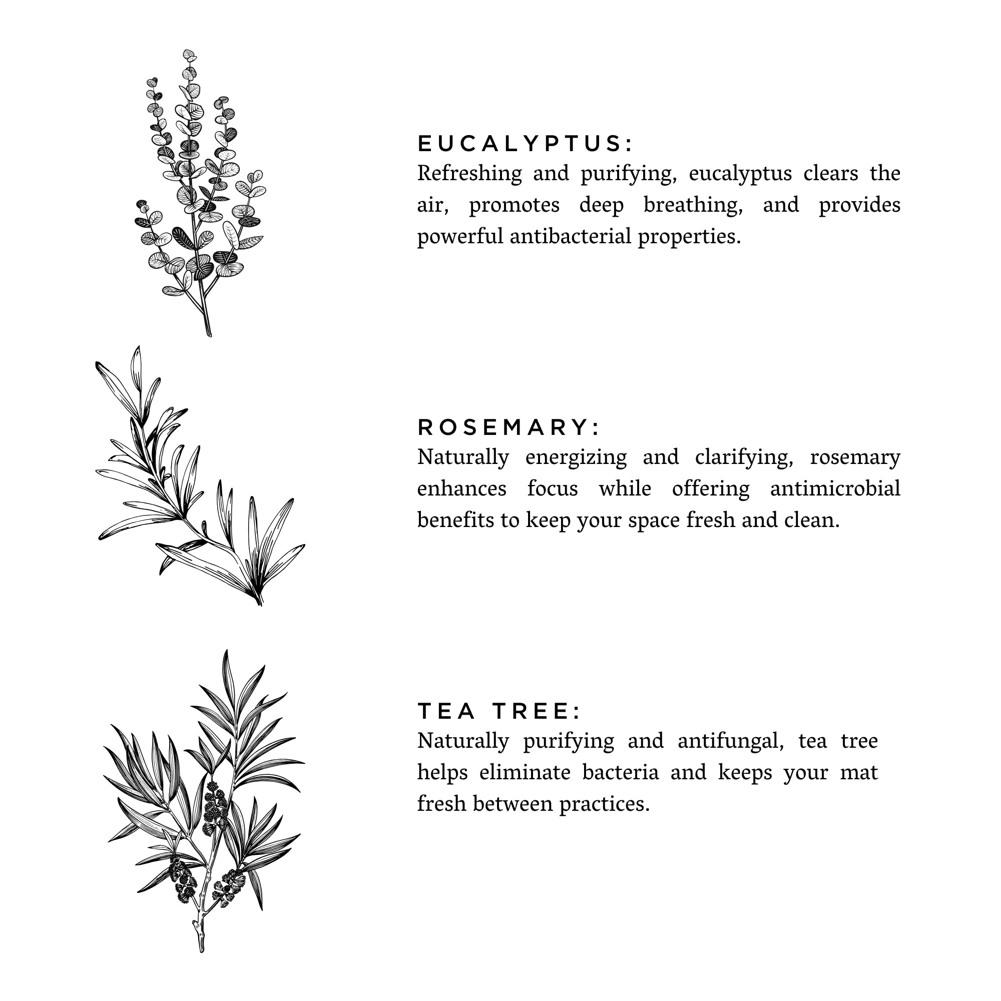 Yoga Mat Spray - Eucalyptus & Rosemary