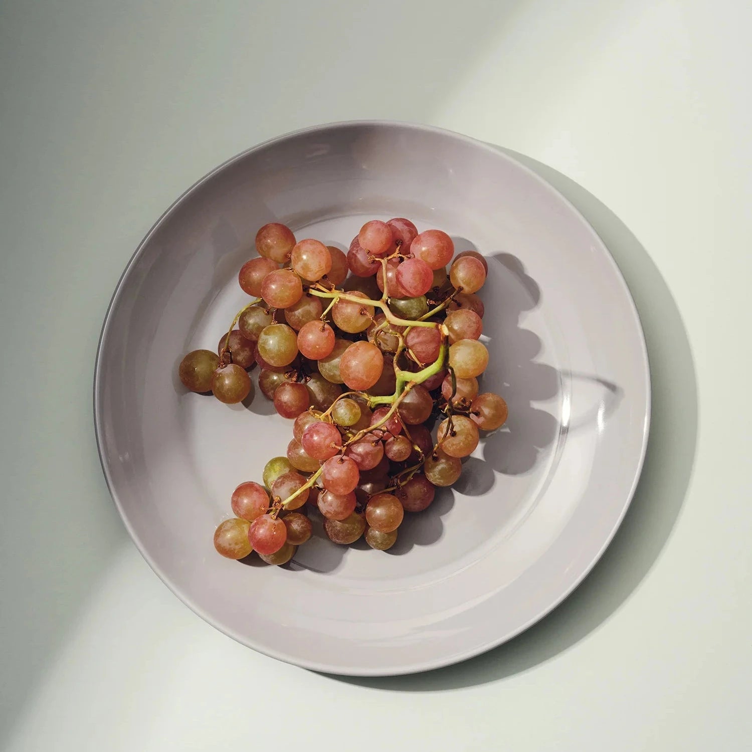 Large Plate