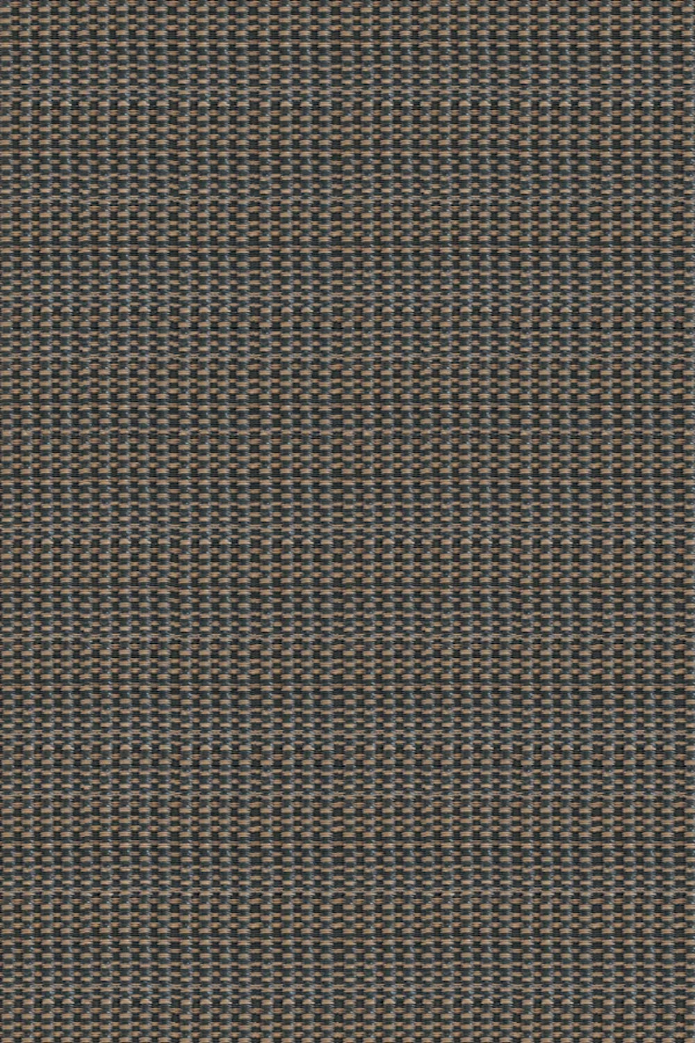 Basic Brown & Black Rug