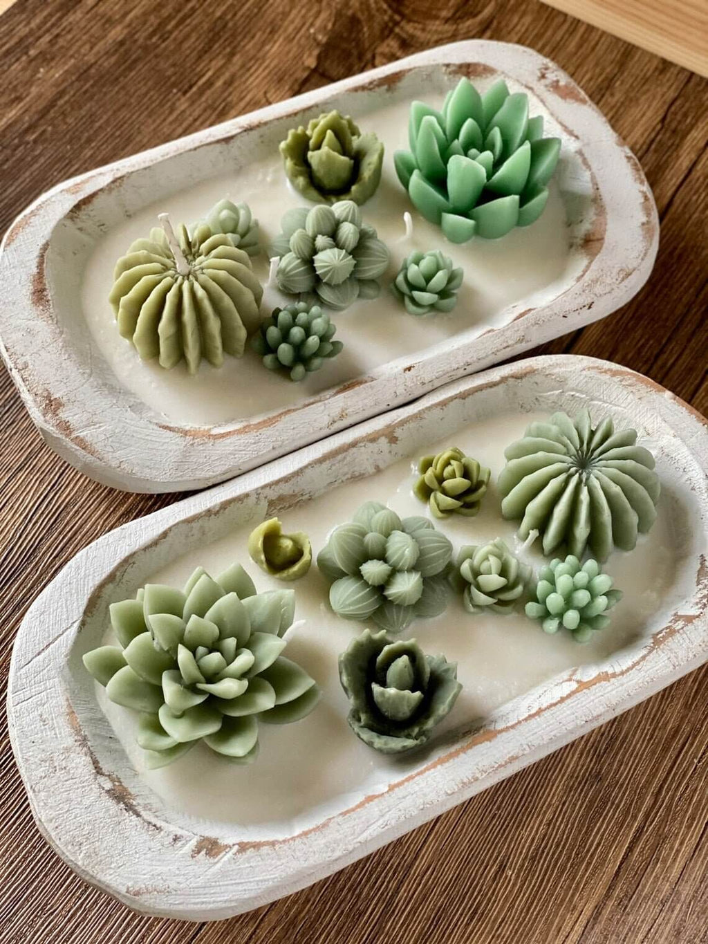 Arizona Dream Cactus Garden Candle in Carved Wood Bowl