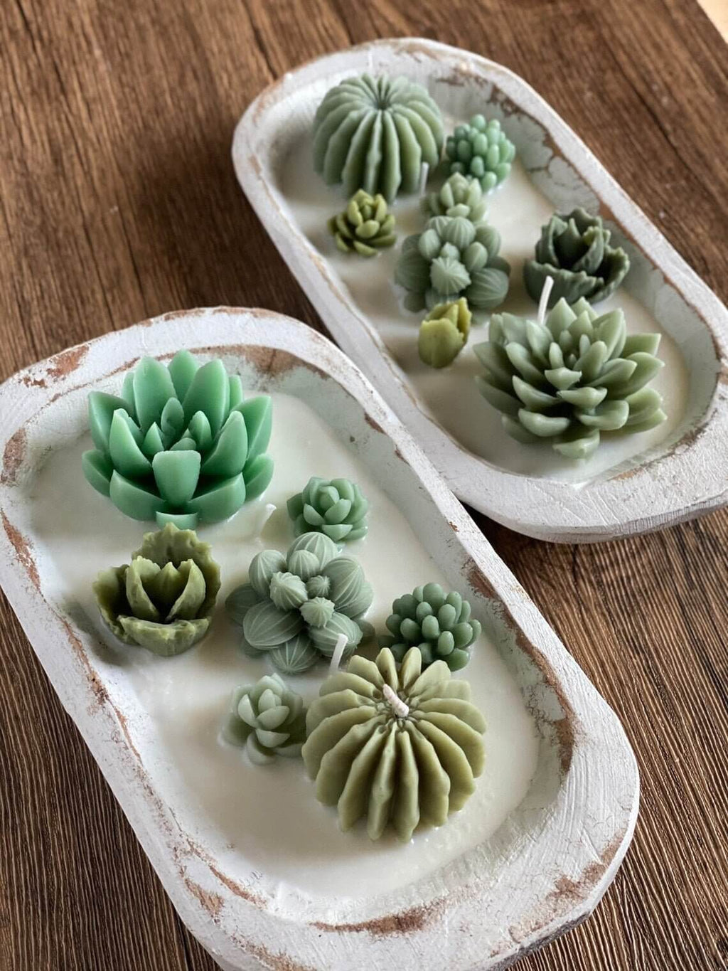 Arizona Dream Cactus Garden Candle in Carved Wood Bowl