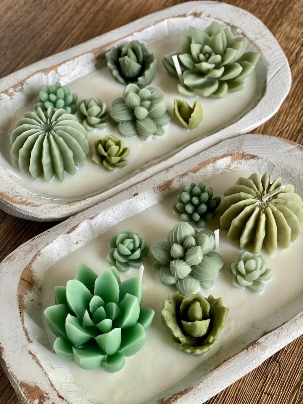 Arizona Dream Cactus Garden Candle in Carved Wood Bowl
