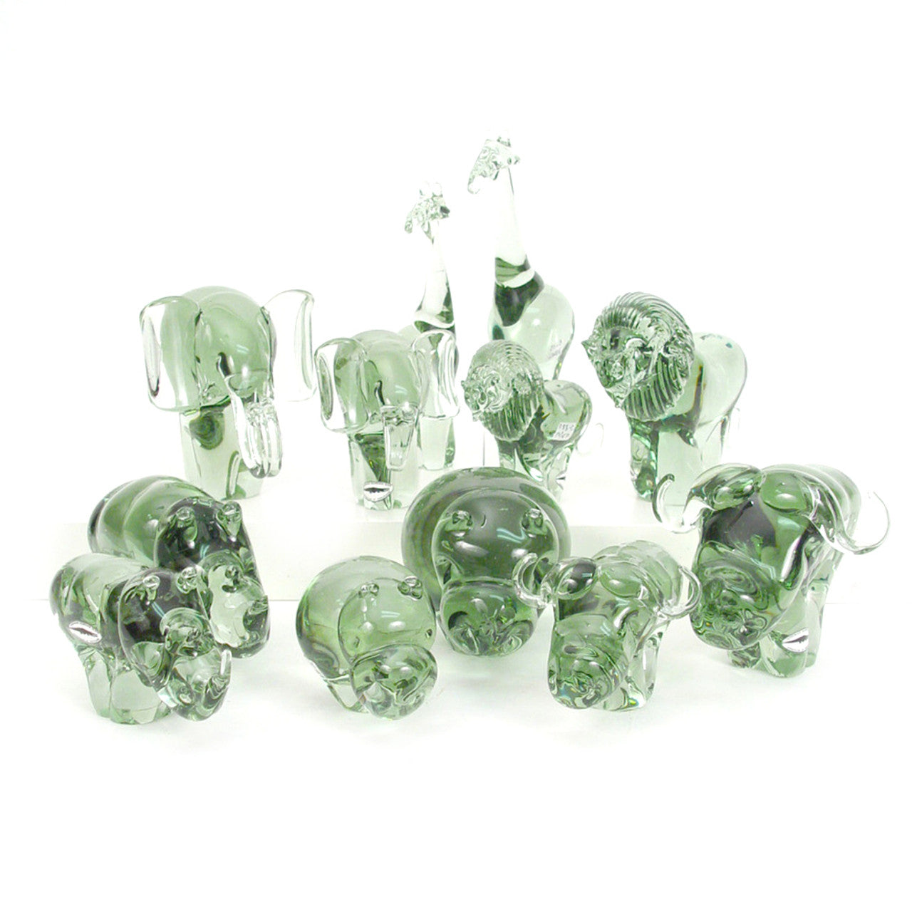 Glass Buffalo