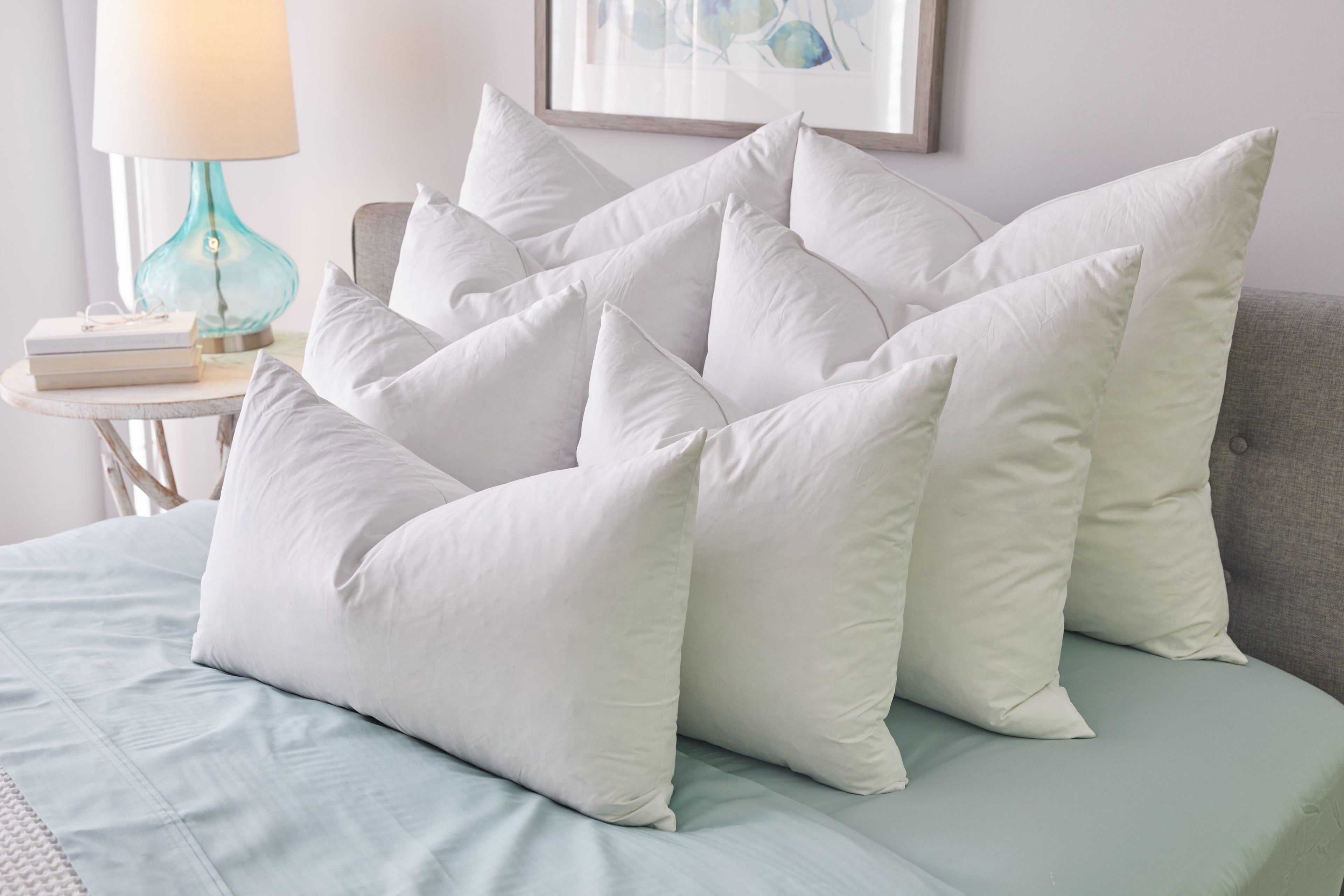 Pillow Inserts (Set of 2)