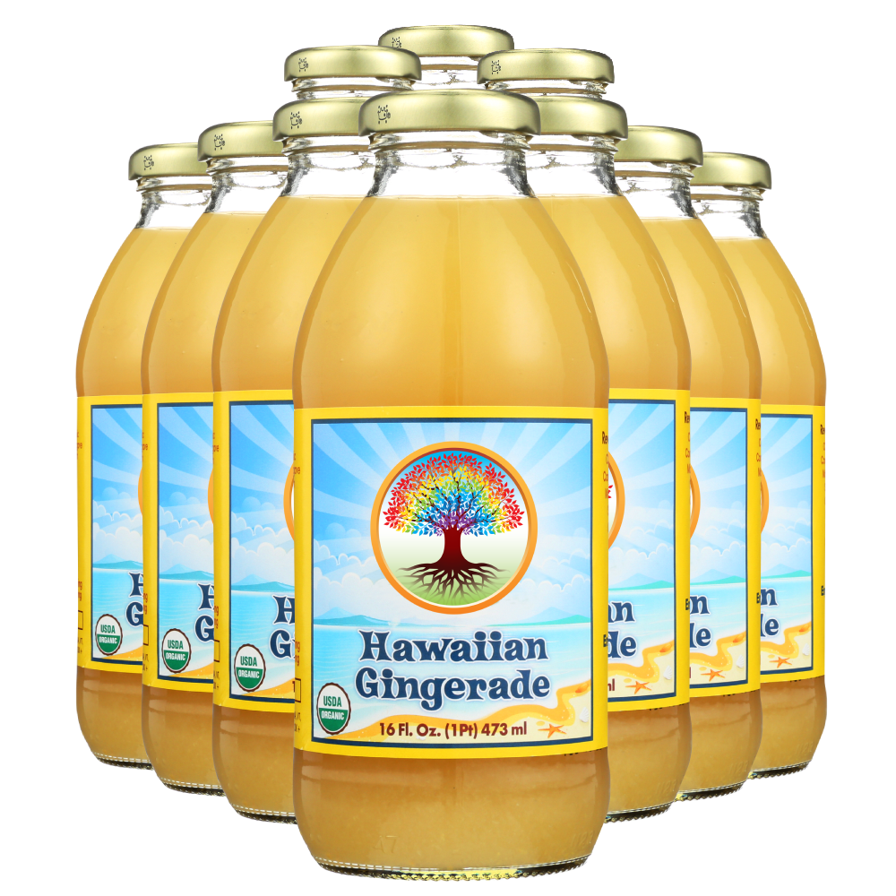Big Island Organics Hawaiian Gingerade (16oz)