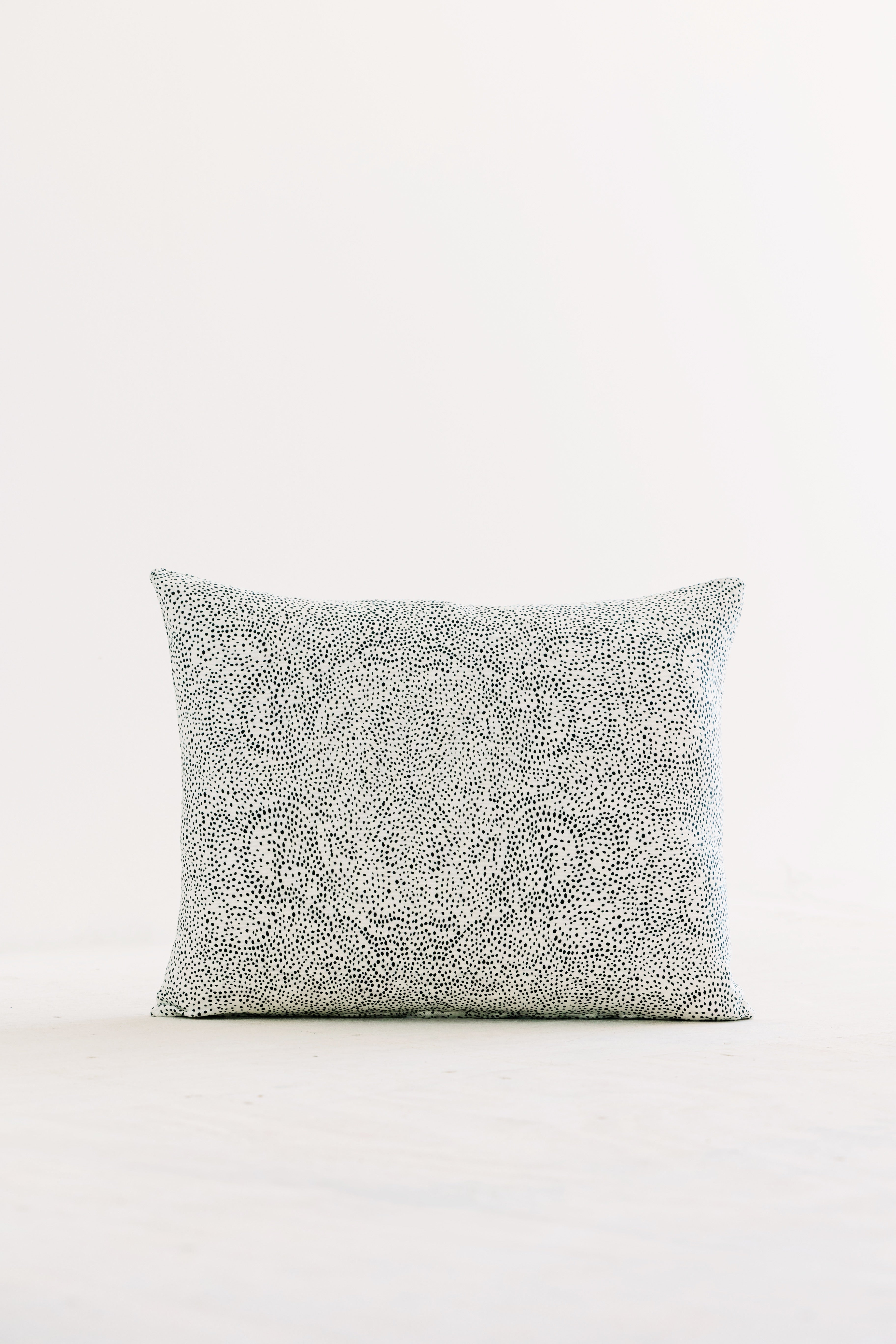 Palizada in Albatross Pillow (16" x 20")