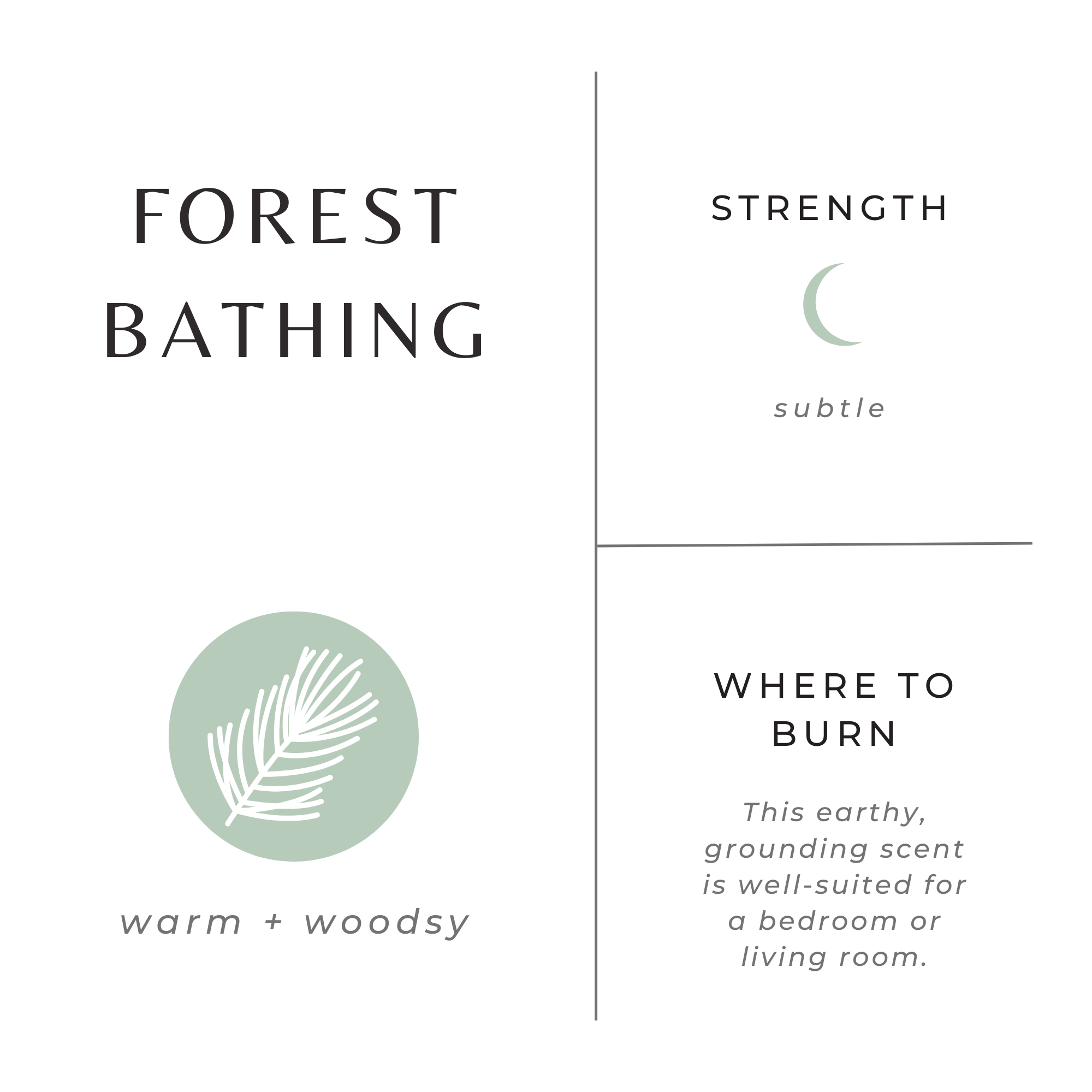 Forest Bathing Candle with Fir, Pine & Patchouli