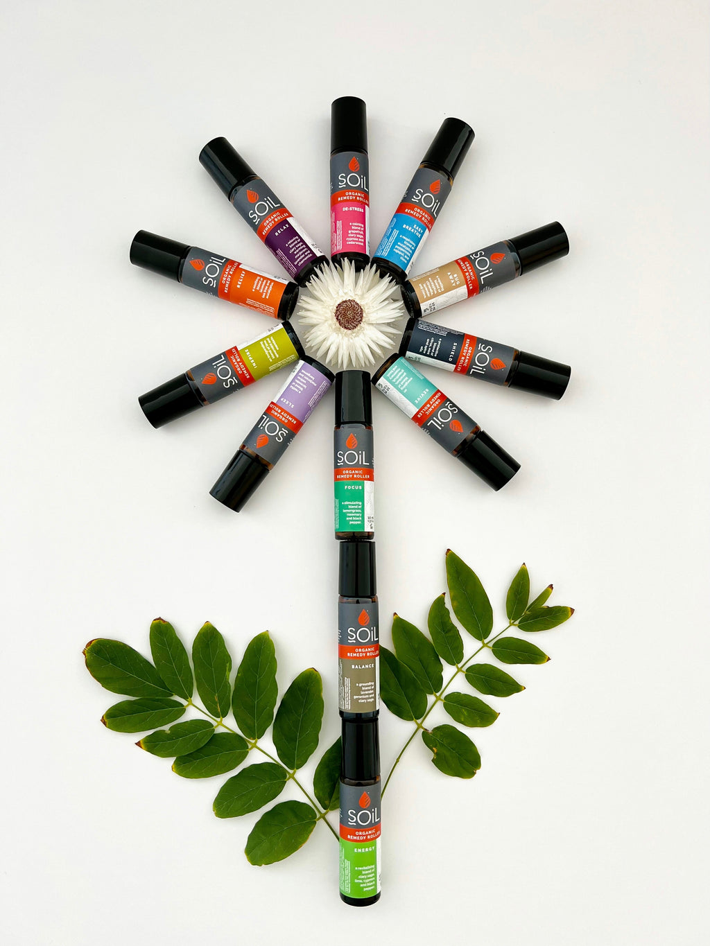 Organic Remedy Roller - Focus (20ml)