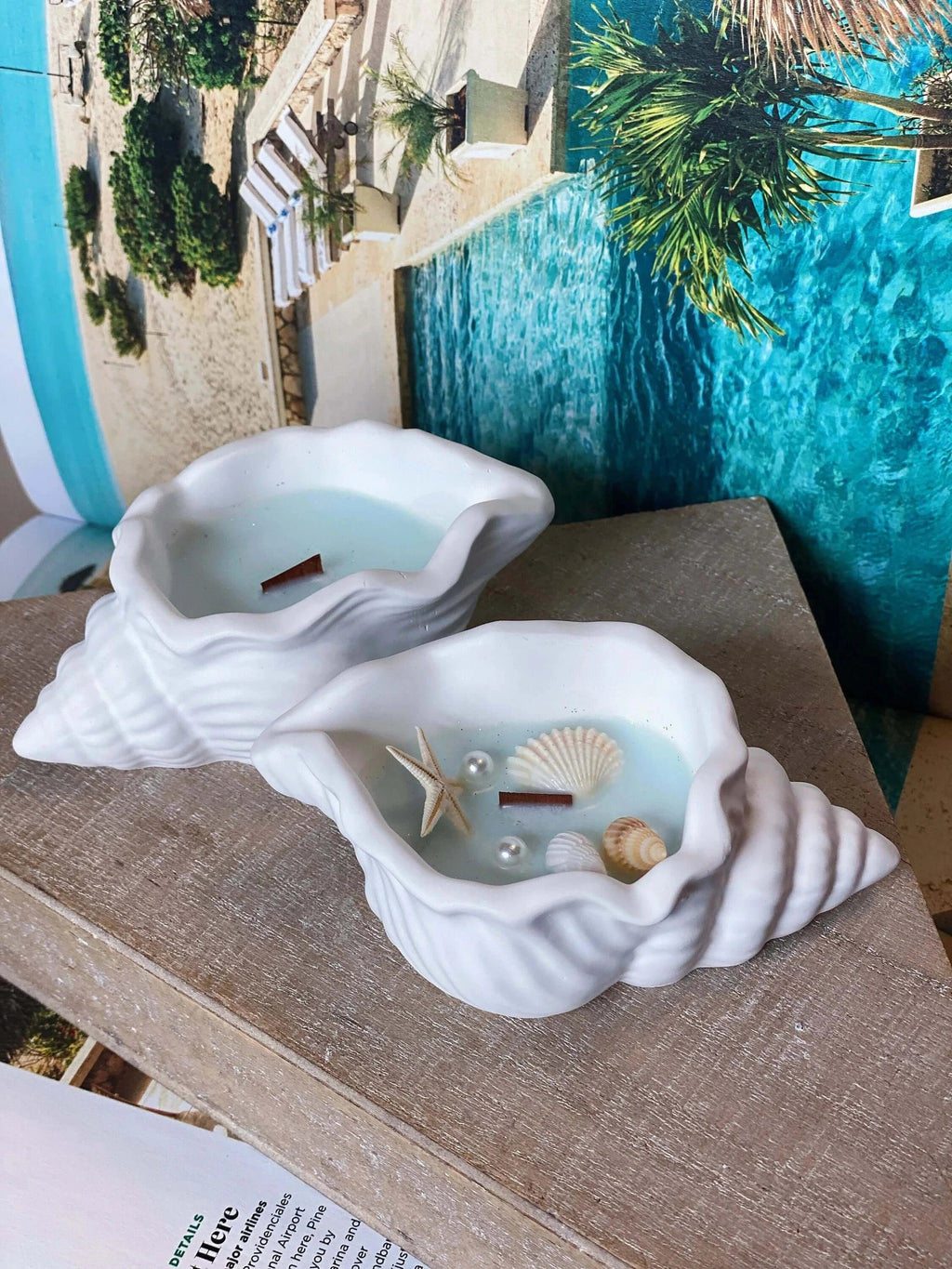 Ocean's Whisper Sea Shell Candle in a Jesmonite Vessel