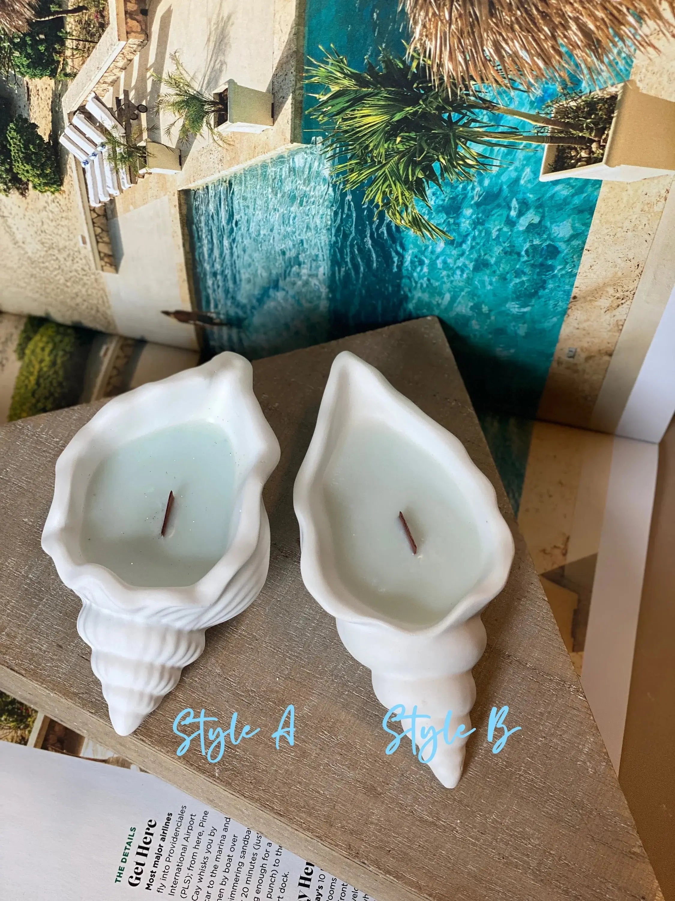 Ocean's Whisper Sea Shell Candle in a Jesmonite Vessel