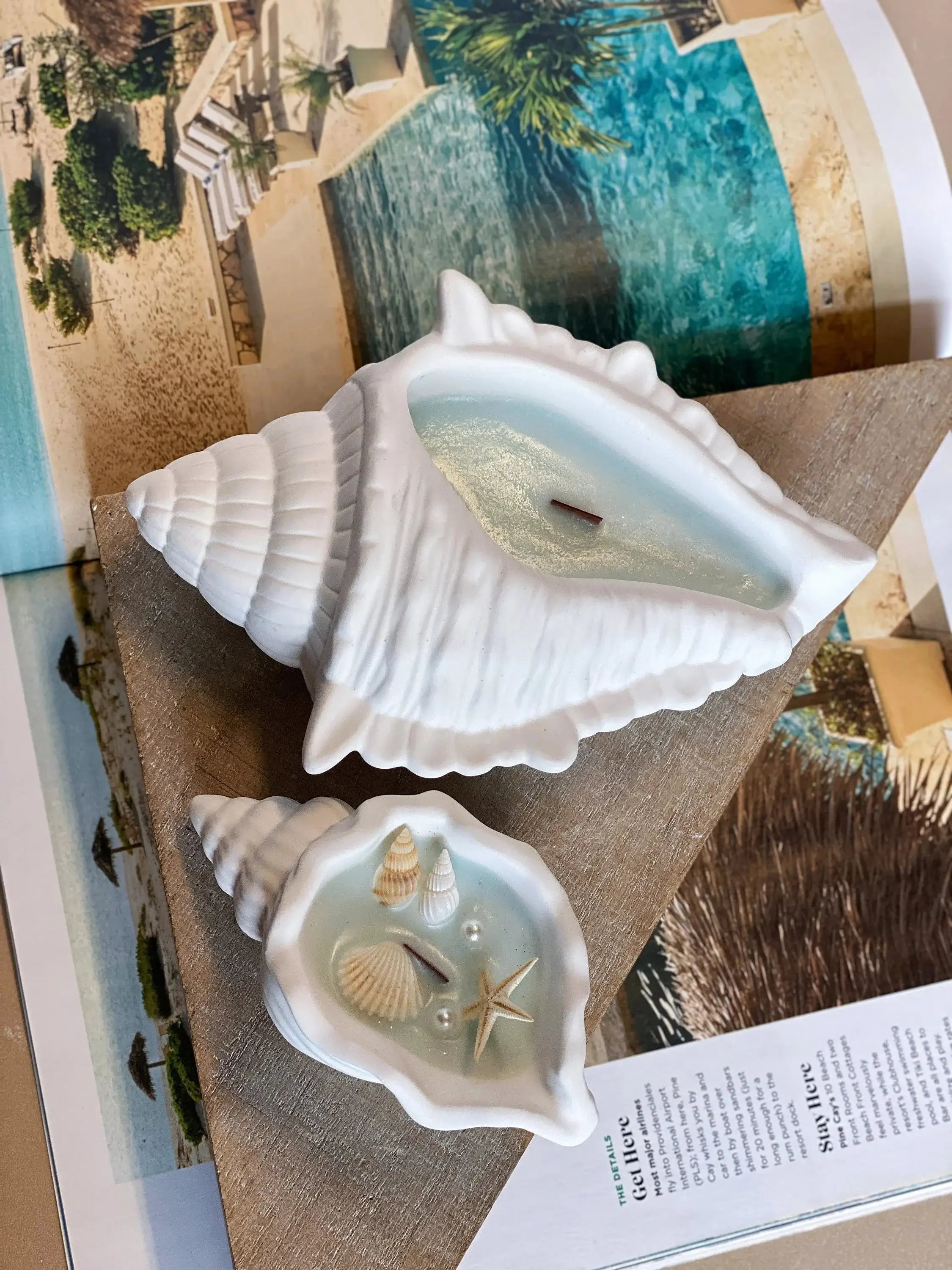 Ocean's Whisper Sea Shell Candle in a Jesmonite Vessel