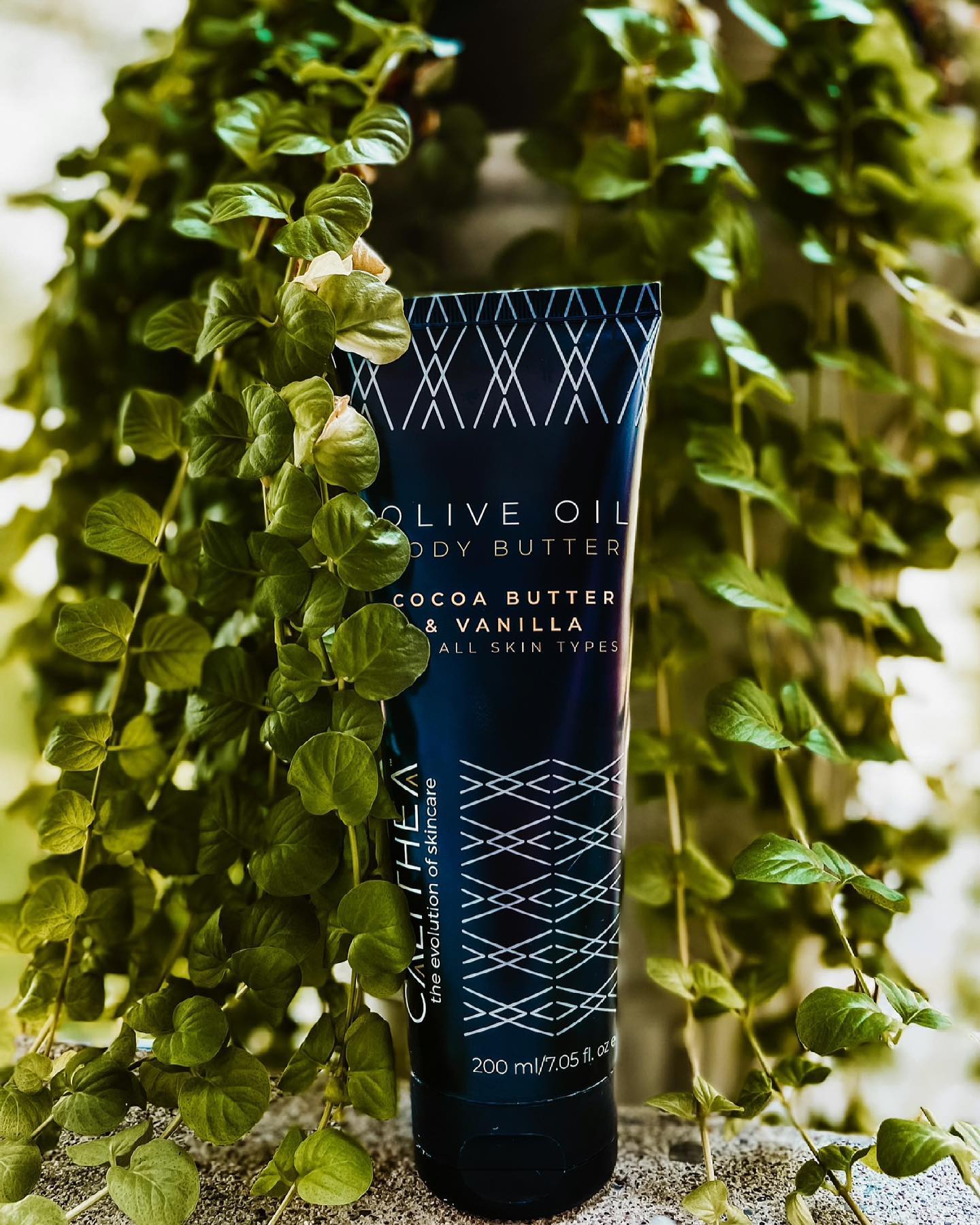 OLIVE OIL BODY BUTTER WITH COCOA BUTTER AND VANILLA